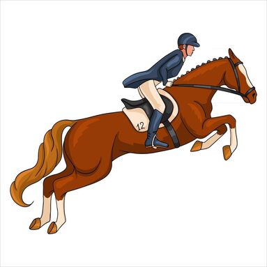 2435601-equitation-femme-equitation-saut-de-cheval-style-dessin-anime-vectoriel.jpg